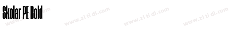 Skolar PE Bold字体转换